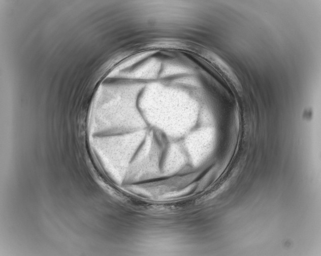 X0000090481049200708102152