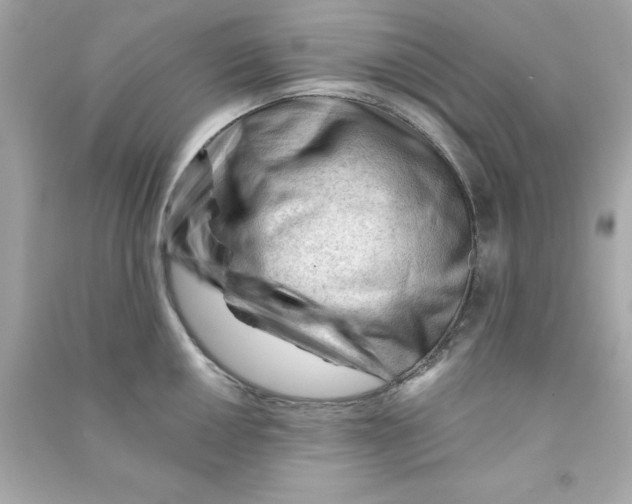 X0000090481050200708102152