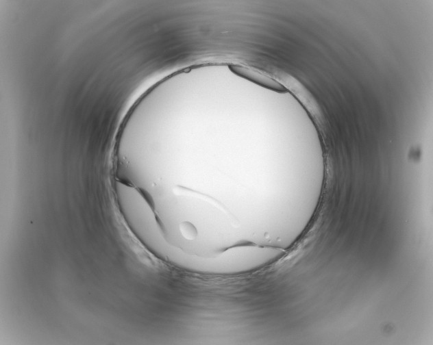 X0000090481052200708102152