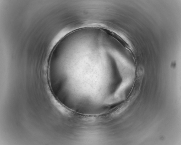 X0000090481054200708102152