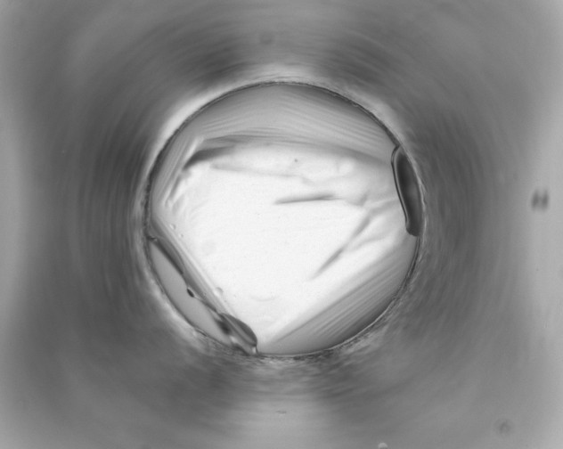 X0000090481056200708102152