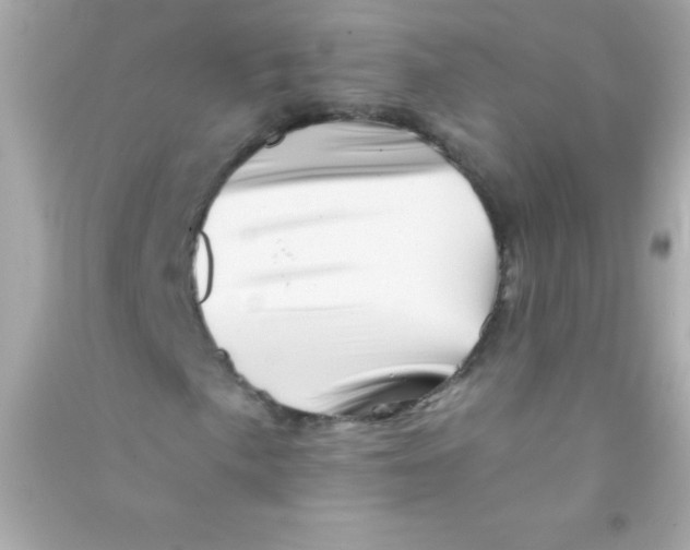 X0000090481057200708102152
