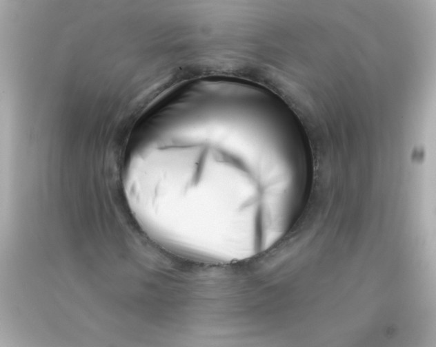 X0000090481058200708102152
