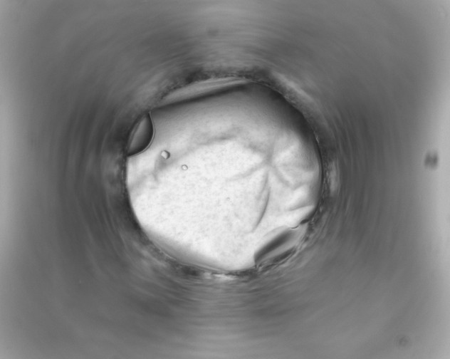X0000090481059200708102152