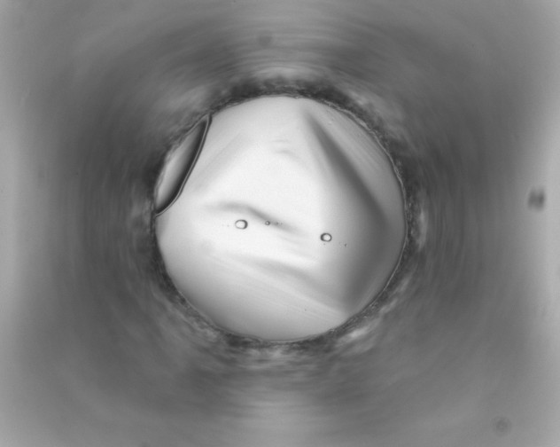 X0000090481061200708102151