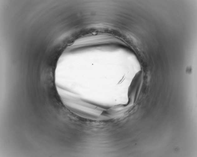 X0000090481062200708102151