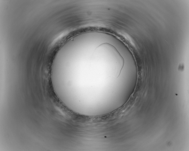 X0000090481064200708102151