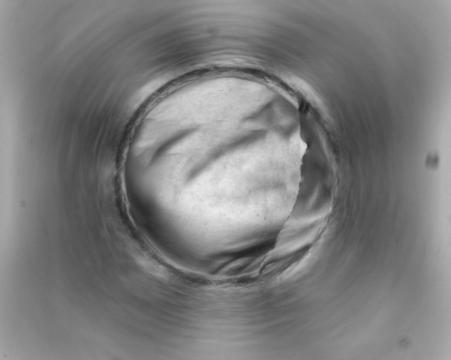X0000090481065200708102151