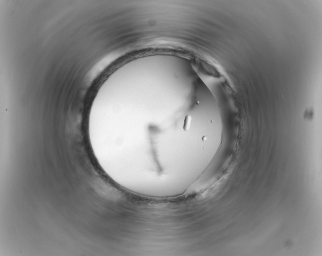 X0000090481066200708102151