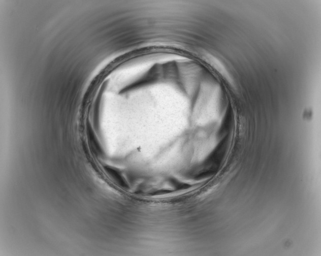 X0000090481068200708102151