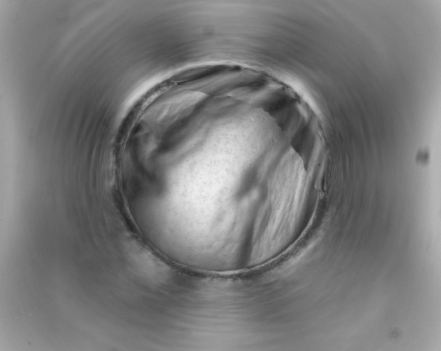 X0000090481069200708102151