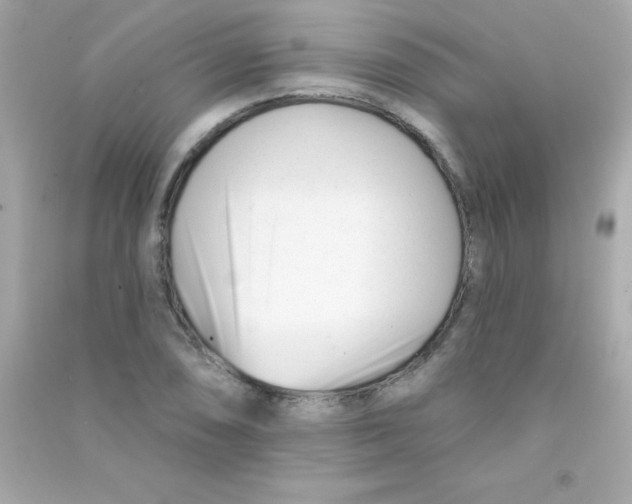 X0000090481074200708102151