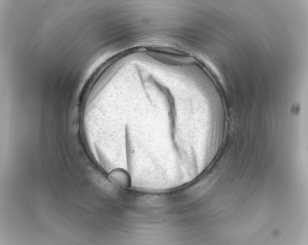 X0000090481075200708102151