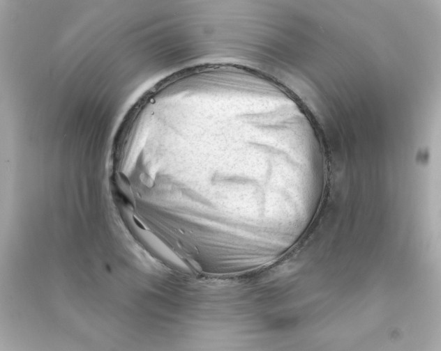 X0000090481076200708102151