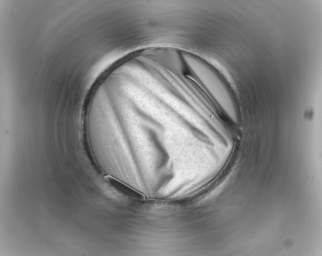 X0000090481077200708102151