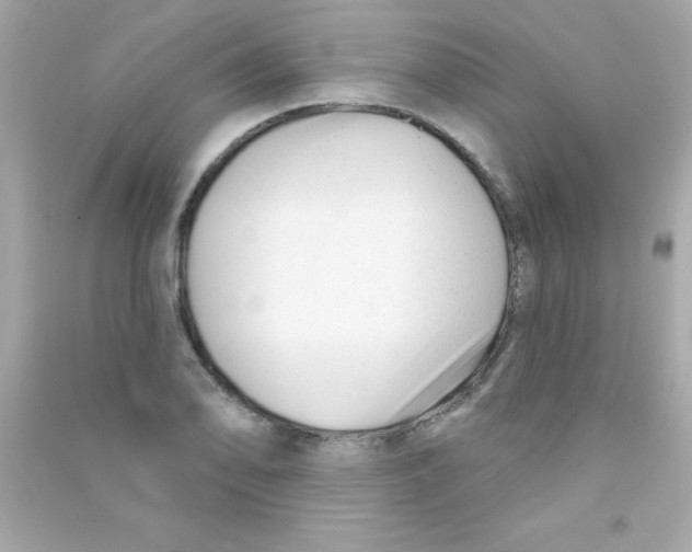 X0000090481078200708102151