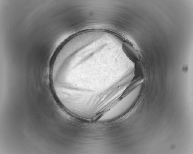 X0000090481079200708102151