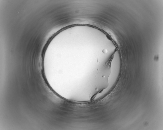 X0000090481080200708102151