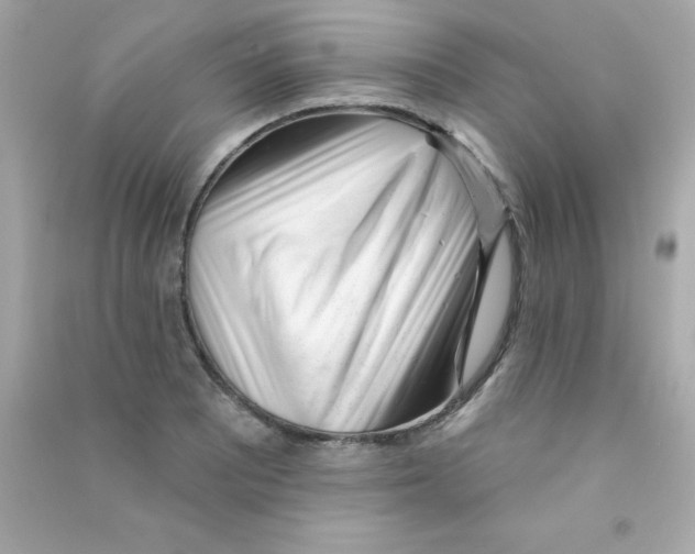 X0000090481081200708102151