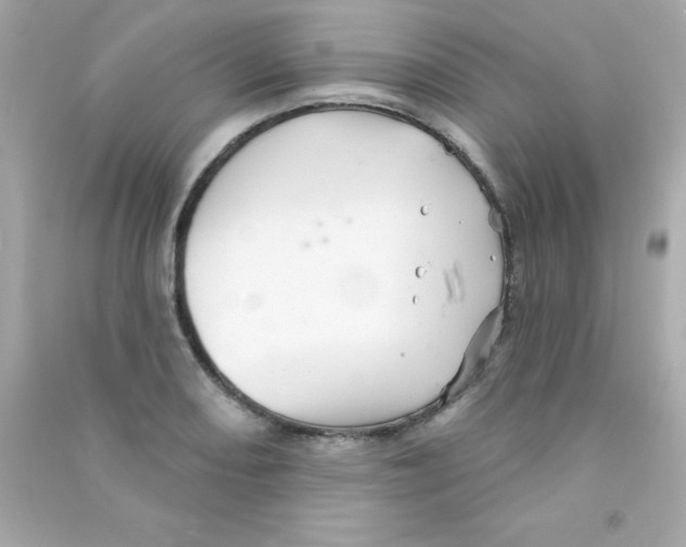 X0000090481082200708102151