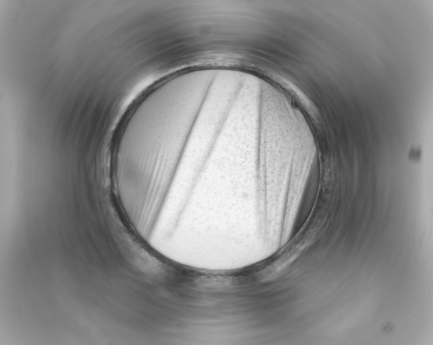 X0000090481083200708102151