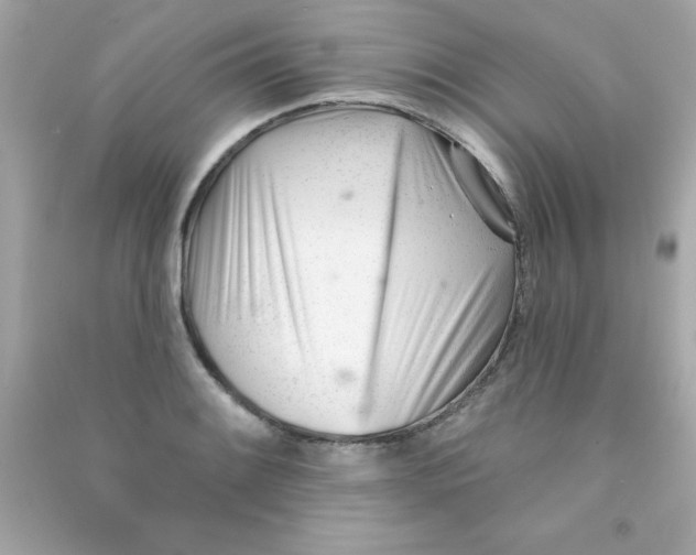 X0000090481084200708102151