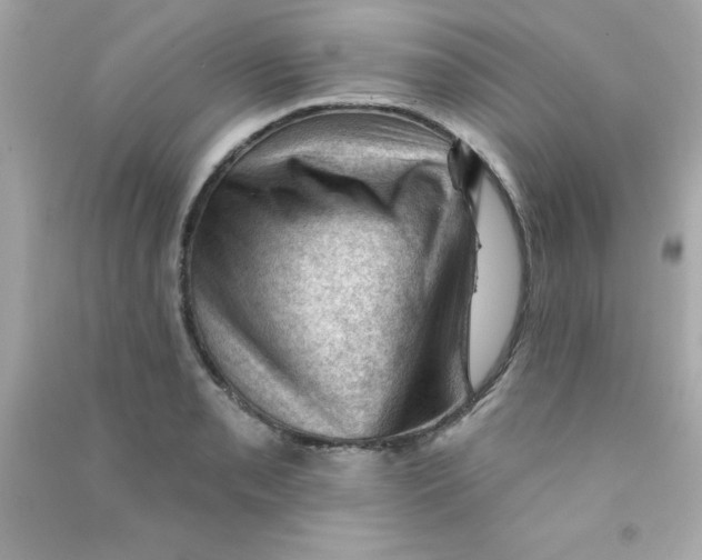 X0000090481085200708102151