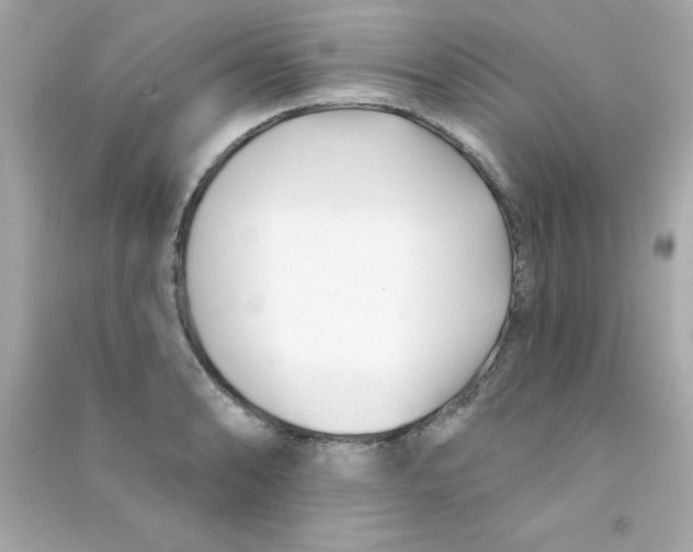 X0000090481086200708102151