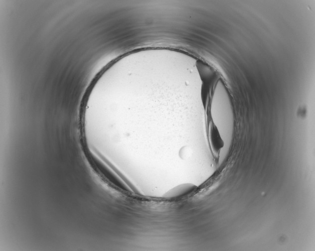 X0000090481087200708102151
