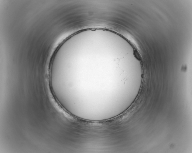 X0000090481088200708102151