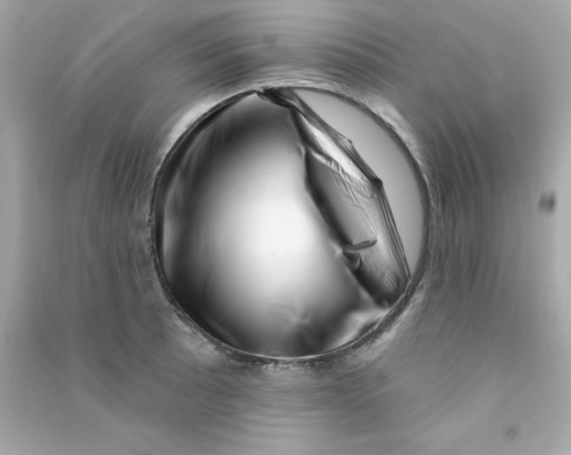 X0000090481089200708102151