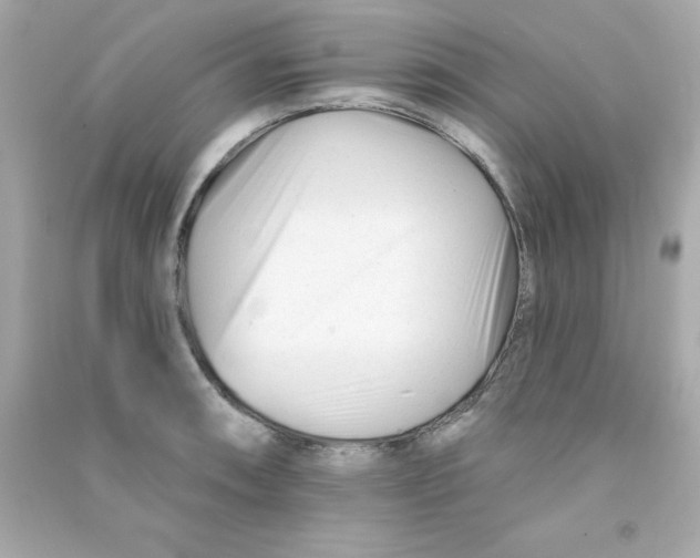 X0000090481090200708102151