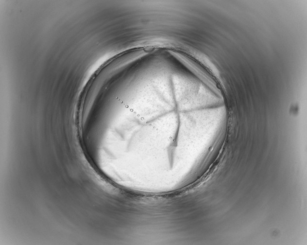 X0000090481091200708102151