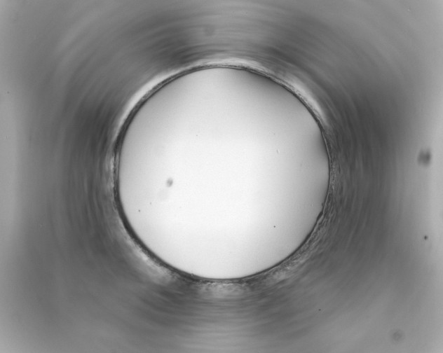 X0000090481092200708102151