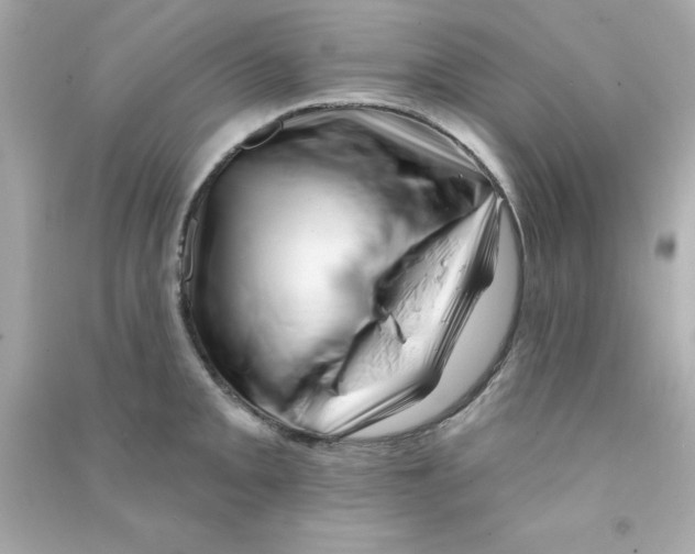 X0000090481093200708102151