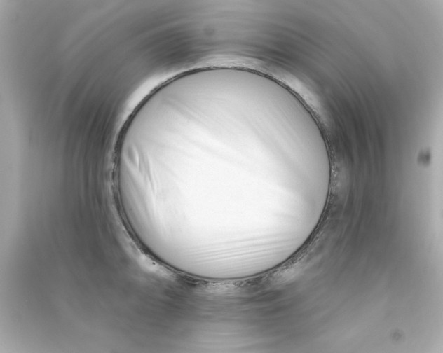 X0000090481094200708102151