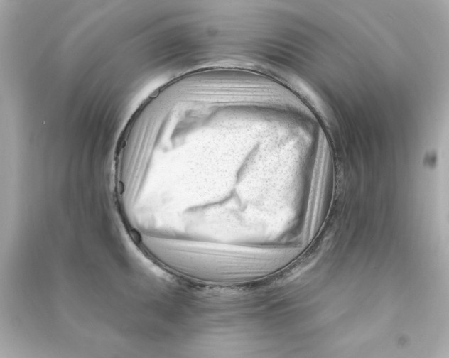 X0000090481095200708102151