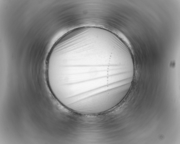 X0000090481096200708102151