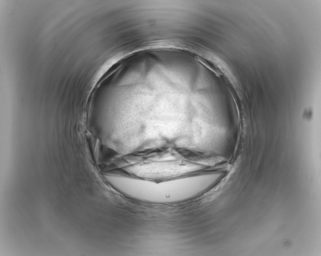 X0000090481097200708102151