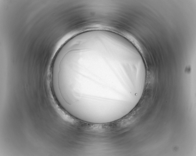 X0000090481098200708102151