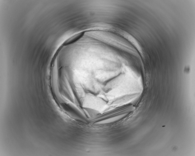 X0000090481099200708102151