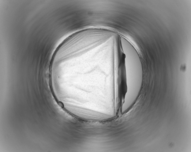 X0000090481100200708102151