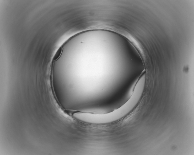 X0000090481102200708102151