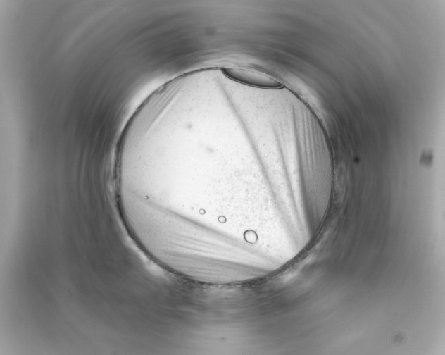 X0000090481103200708102151