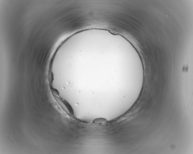 X0000090481104200708102151
