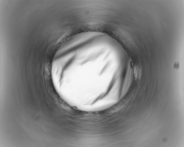 X0000090481107200708102150