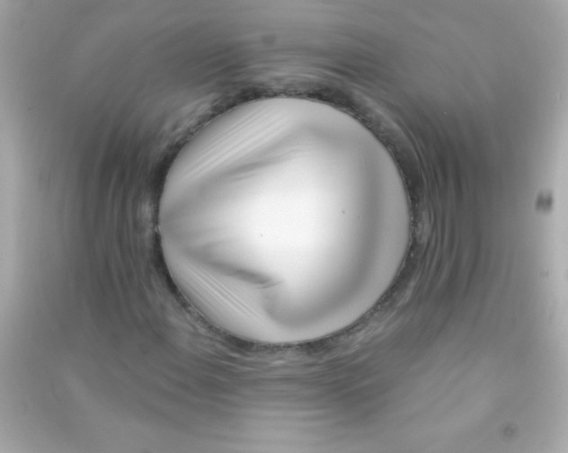 X0000090481108200708102150