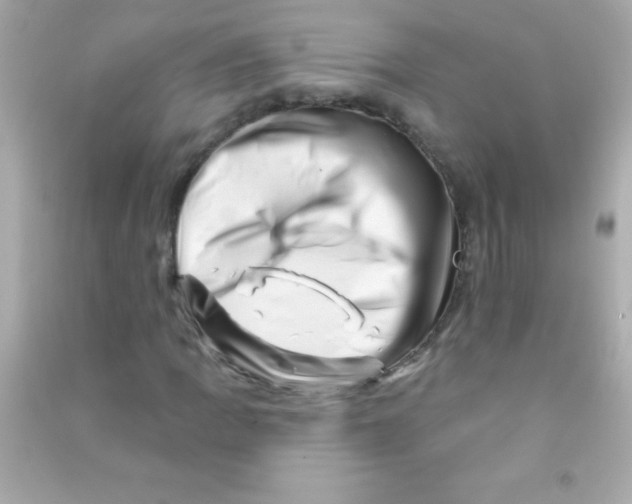 X0000090481109200708102150