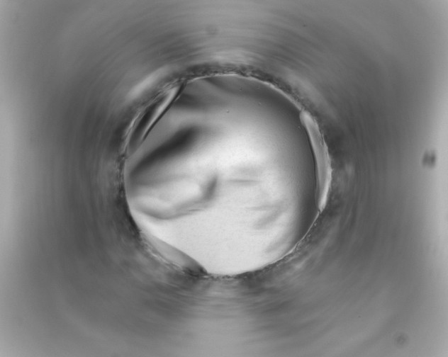 X0000090481110200708102150