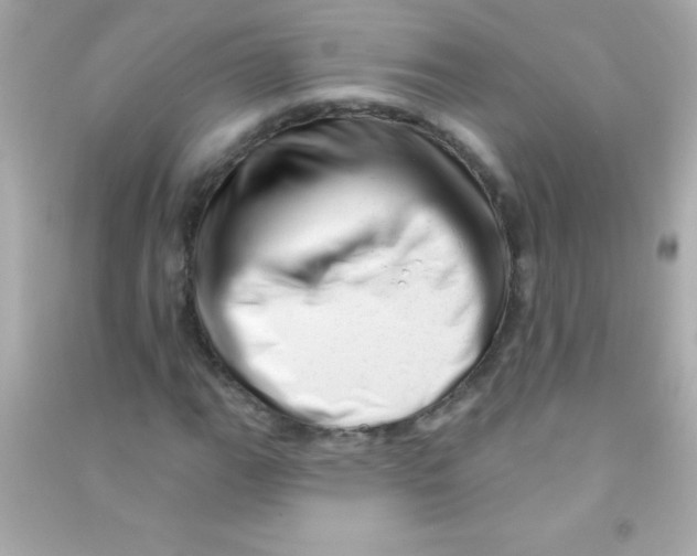 X0000090481111200708102150